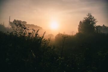 Pond at 6 am