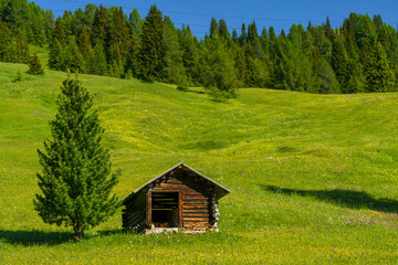 Mountain landscape along the road to Campolongo pass, Dolomites