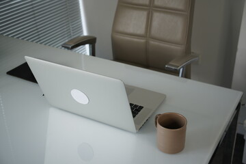 Close up view of simple workspace with laptop, smartphone, coffee cup and tree pot on white table with blurred office room background.