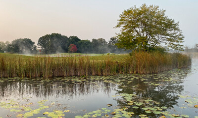 golf course foggy pond marsh late summer early autumn red leaves on trees
