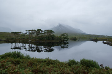 Pine Island at Derryclare Lough, County Galway, Ireland