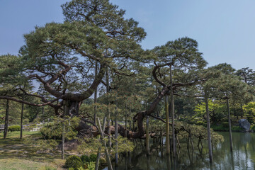 兼六園！