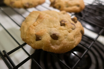 Chocolate Chip Cookie on a drying wrack