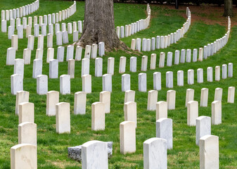 Headstone Rows