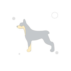 doberman dog vector flat illustration on white background