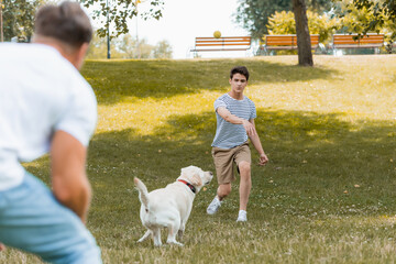 selective focus of teenager son and father playing with dog outside