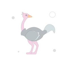 ostrich vector flat illustration on white background