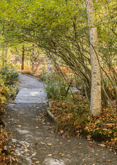 Peaceful Trail