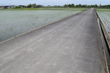 舗装された農業用道路