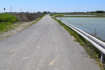 舗装された農業用道路