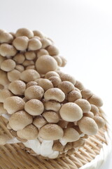 Japanese food ingredient, Shimeji mushroom with copy space