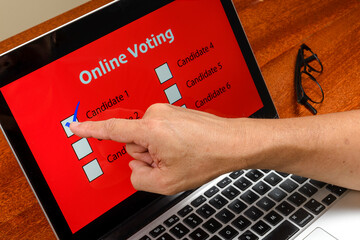 Person voting on the computer