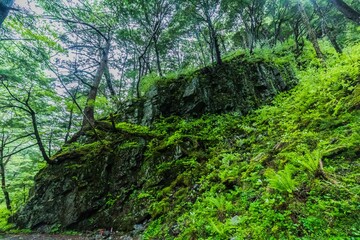 上高地