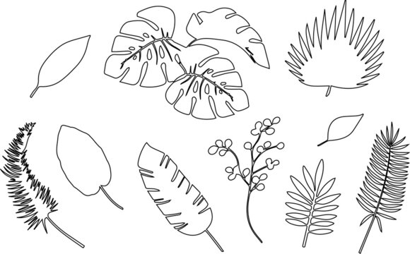 Vector set of tropical green palm leaves outlines isolated on white background