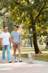 Obraz premium teenager son and father walking with golden retriever on asphalt