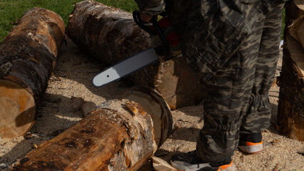 Lumber, a man cuts a tree with a chainsaw