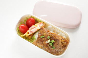 Ginger pork and kamaboko fried egg on rice bento for comfort food