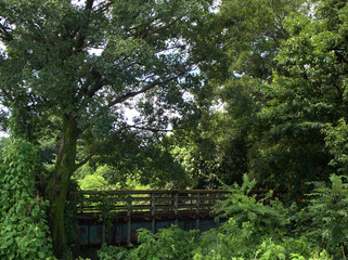 Obraz premium 廃線