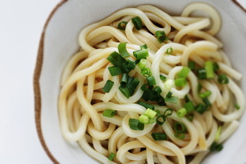 Japanese food, spring onion and Udon noodles with copy space