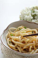 Japanese food, spring onion and Udon noodles with copy space