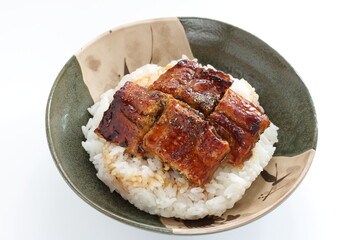 Japanese food, grilled uragi eel fish on green tea rice