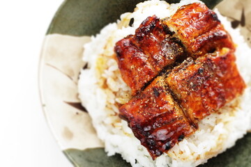 Japanese food, grilled uragi eel fish on green tea rice