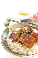 Japanese food, grilled uragi eel fish on green tea rice