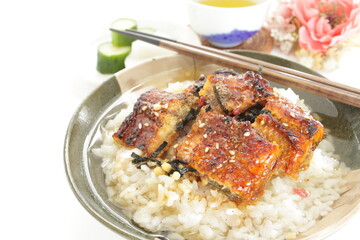 Japanese food, grilled uragi eel fish on green tea rice