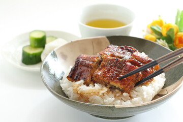 Japanese food, grilled uragi eel fish on rice and  green tea rice