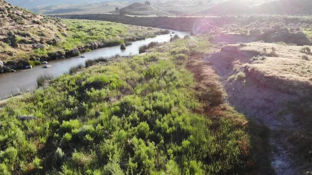  Drone follow creek in green desert canyon with mountain background 