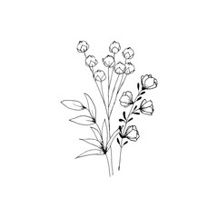 Simple and clean hand drawn floral. Sketch style botanical illustration. Great for invitation, greeting card, packages, wrapping, etc. 