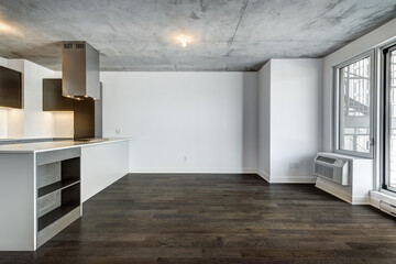 Real estate photography - Beautiful empty brand new apartment in an apartment building with bathroom, new kitchen, new floors, all white painted
