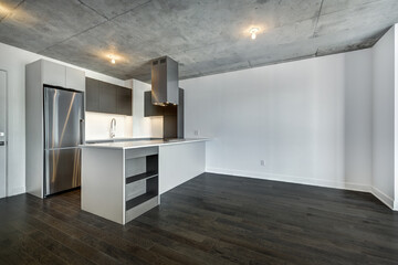 Real estate photography - Beautiful empty brand new apartment in an apartment building with bathroom, new kitchen, new floors, all white painted