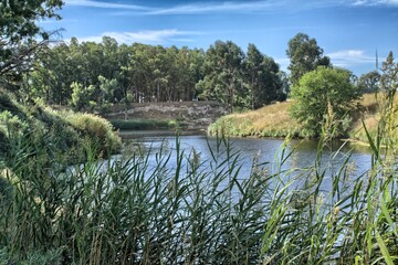 rio quequen salado argentina
