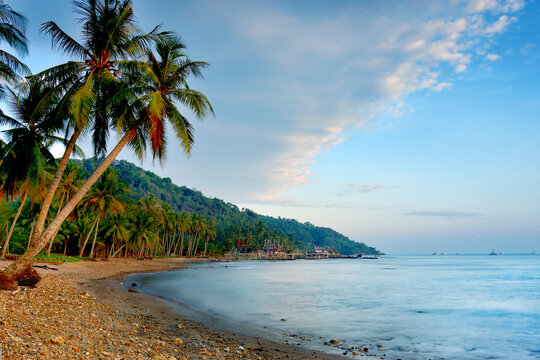 beach with palm trees at Lampung, Sumatera Indonesia good for traveling brochuer and leaflat 