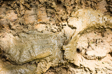 Texture of clay and earth with water.