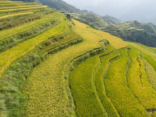 Aerial view of terrace rice field with small houses in China