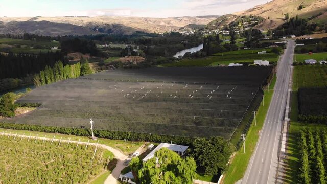 Fruit orchard covered with black shade cloth to protect from sunlight, aerial