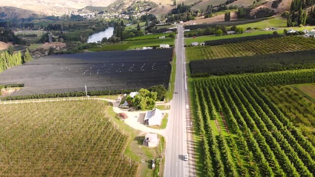 Aerial flying over State Highway 8 through green fruitlands in Teviot Valley