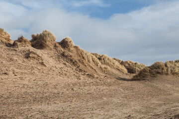 sandy dune beaches