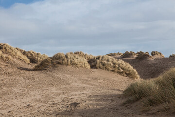 sandy dune beaches