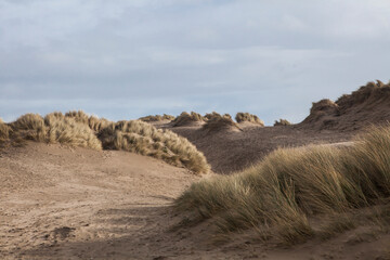 sandy dune beaches