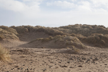 sandy dunes at beach