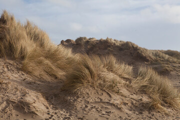 sandy dunes at beach