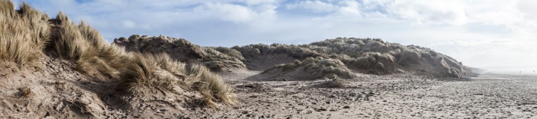 sandy dunes at beach