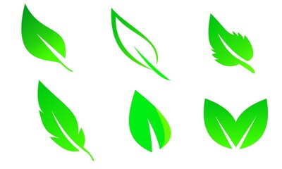 leaf set package vector