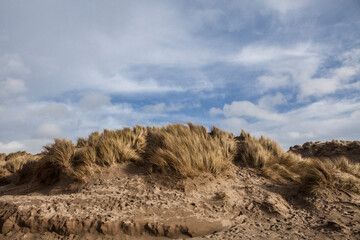 sandy dunes at beach
