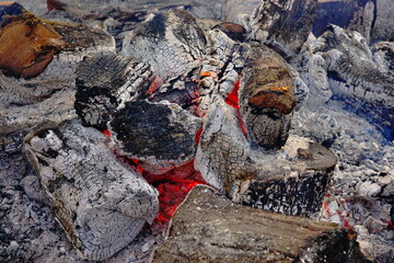 正月の風物詩どんど焼き