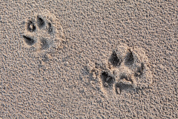 messages written in sand
