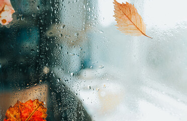 wet rainy glass with red and orange leaves, selective focus